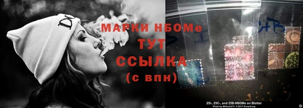 стаф Сатка