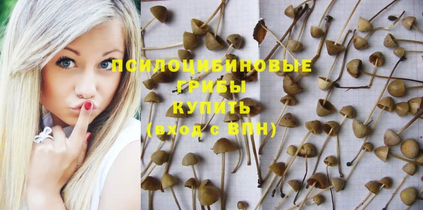 стаф Сатка