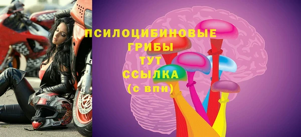 стаф Сатка
