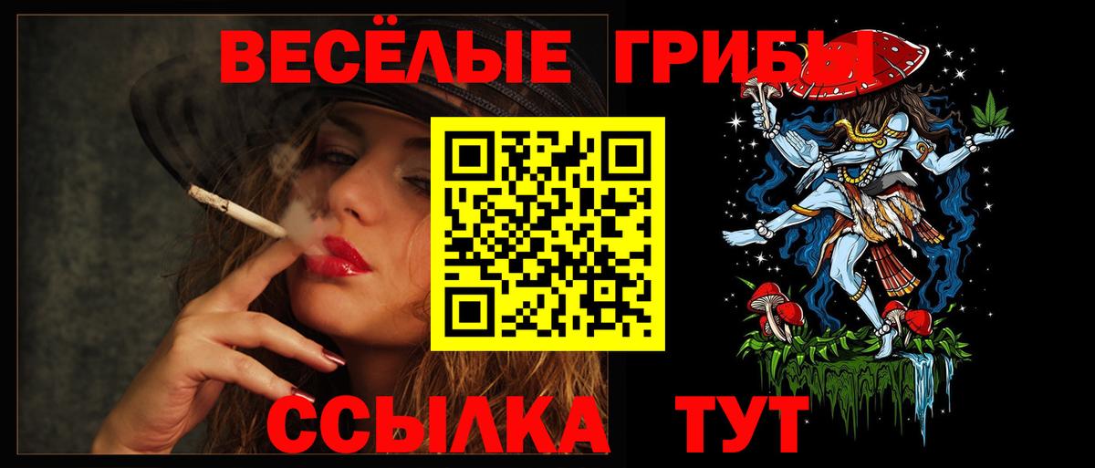 хочу   Вход с VPN  Зеленогорск  Галлюциногенные грибы GOLDEN TEACHER 