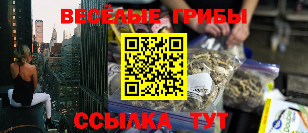 Галлюциногенные грибы Psilocybine cubensis Зеленогорск